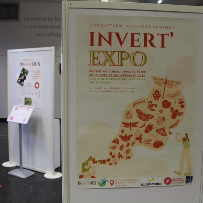 INVERT'EXPO 2022 (2)
